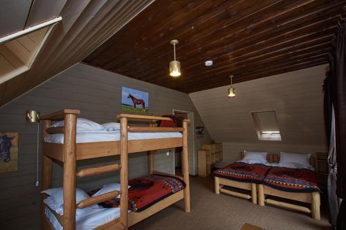 Maggie’s Ranch - 528