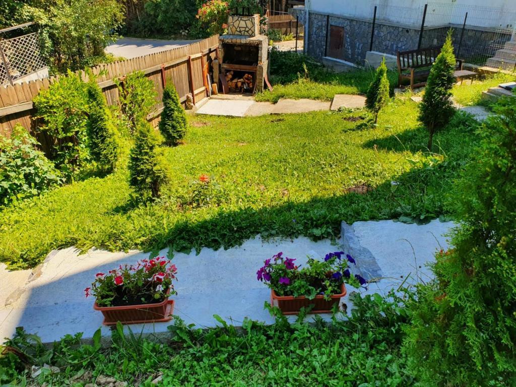 Mara D'or Suites Sinaia - 356