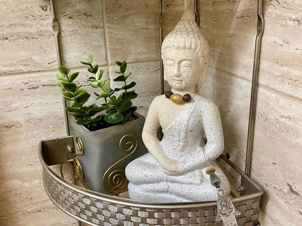 Maya Apartment - 496