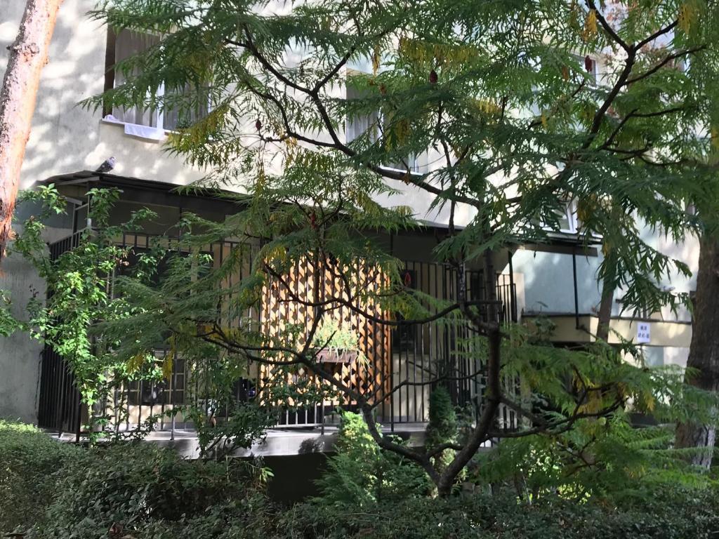 Maya Apartment - 281