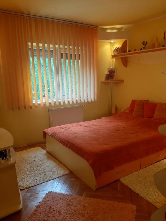 MAYSA Oradea-Felix - 562