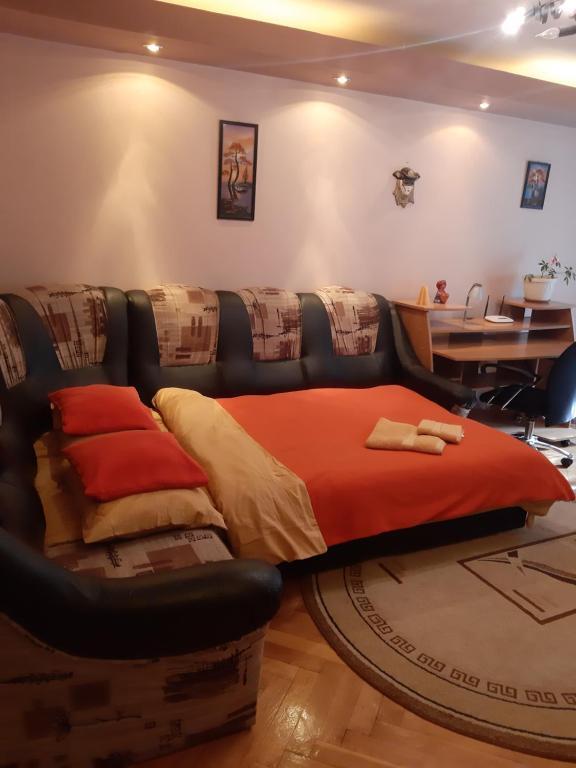 MAYSA Oradea-Felix - 248