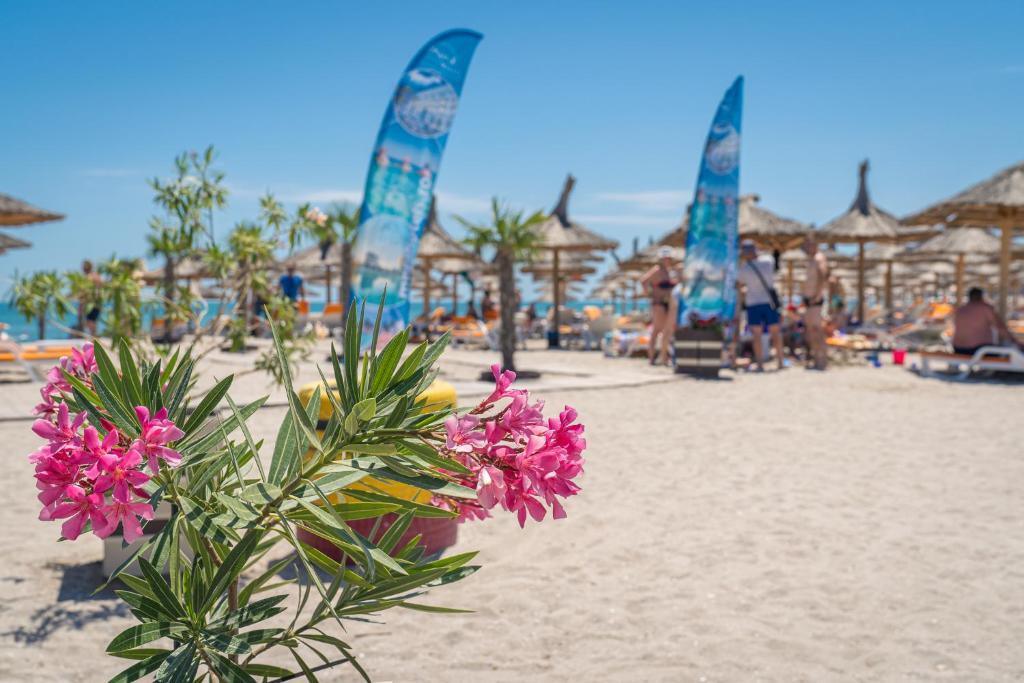 Mera Resort Venus - 812