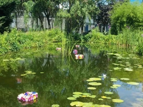 Hotel Navrom River - 76
