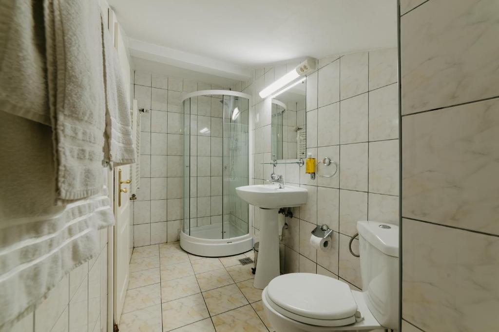 Hotel Meteor Cluj - 491