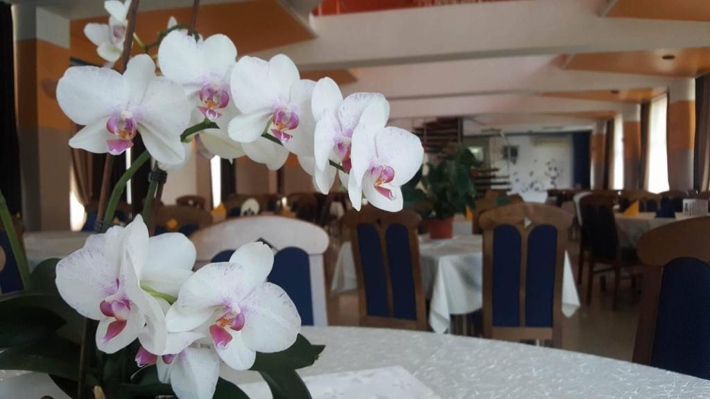 Motel Blue River Calimanesti - 20