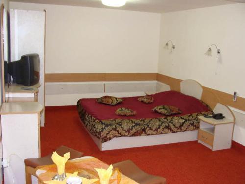 Motel Oana - 319