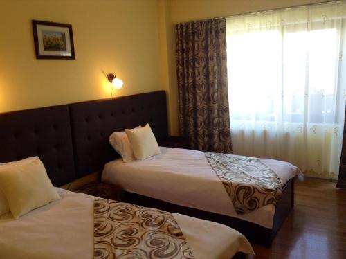 Motel Perla Sigheteana - 866