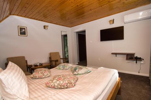 Motel Seaca - 842