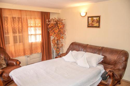 Motel Siesta - 479