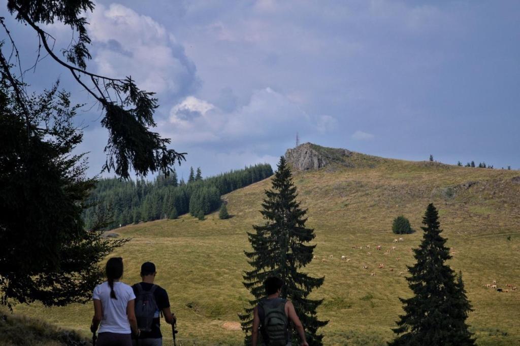 Mountain-Rest Pension - 563