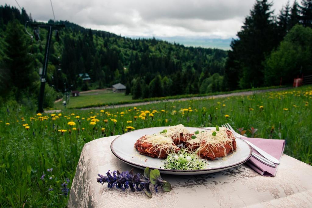 Mountain-Rest Pension - 957