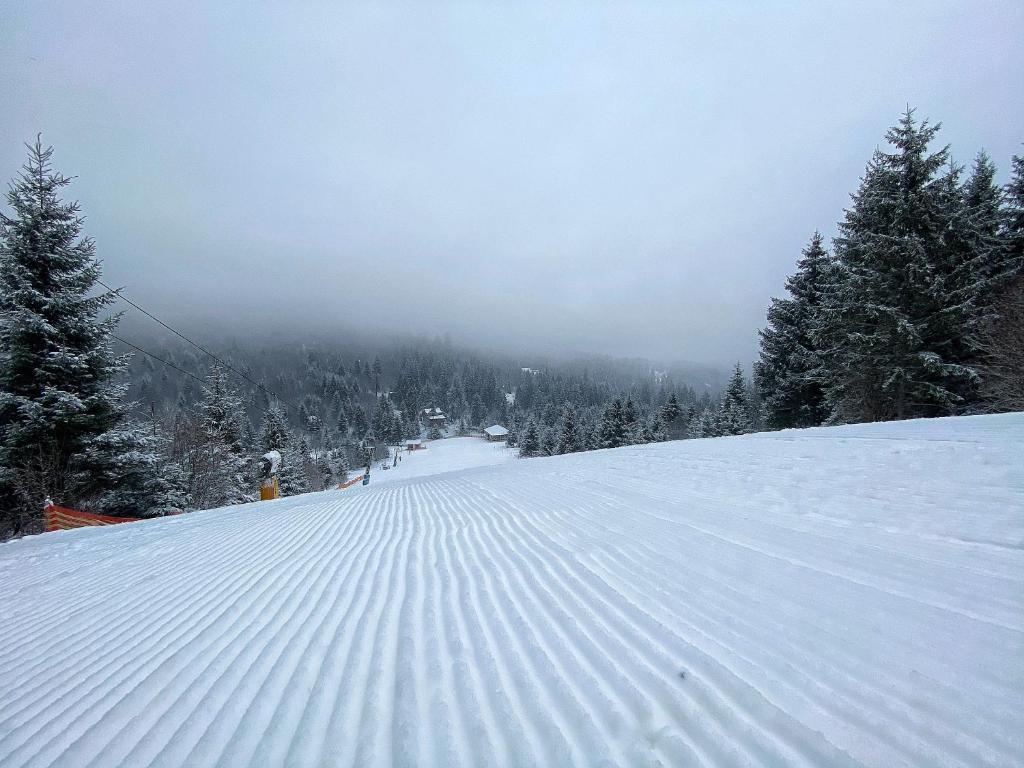 Mountain-Rest Pension - 706