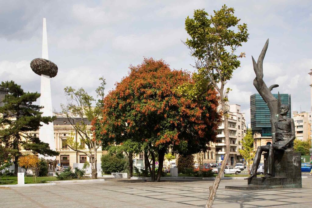 MyContinental Bucuresti Gara de Nord - 146