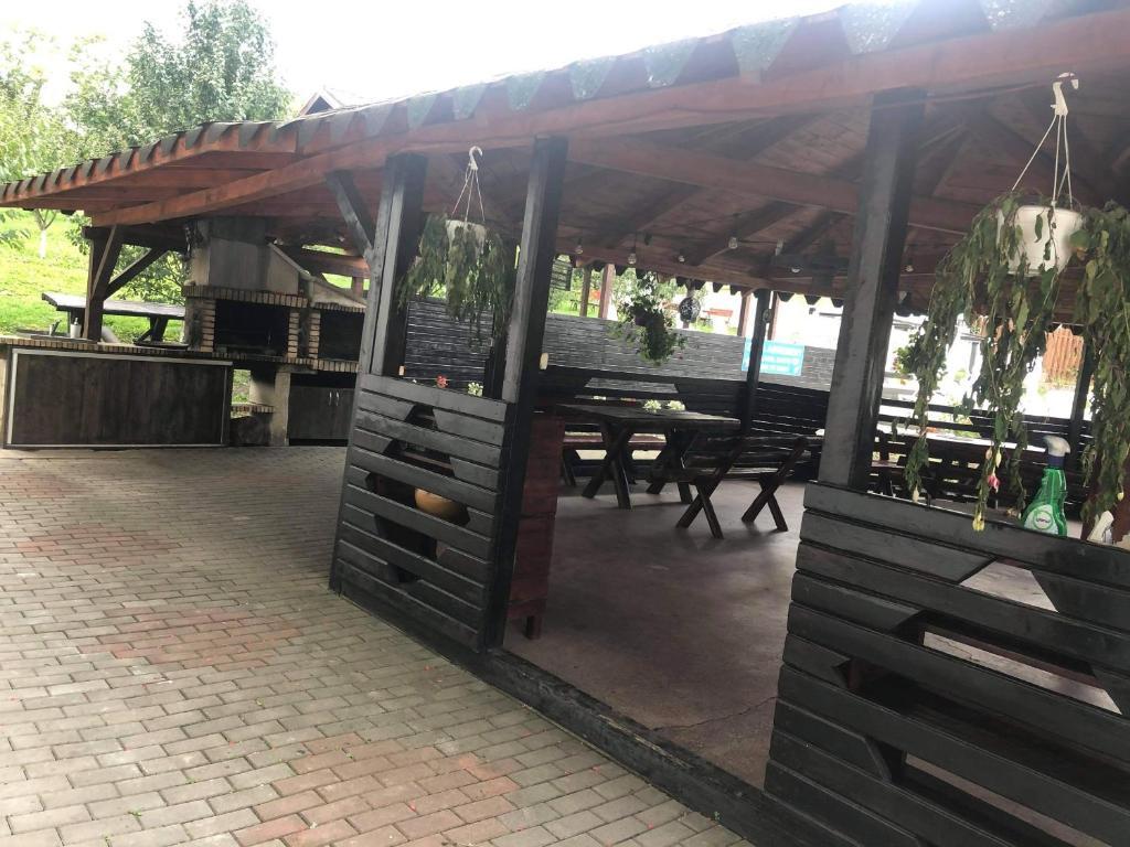 Oaza Apusenilor - 498