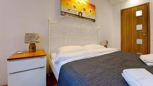 Old Town Apartment - 740