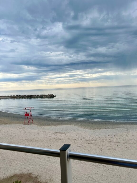 Palace Beach Resort - 556