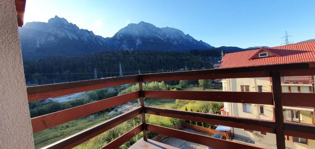 Panoramic View Apartment - 882