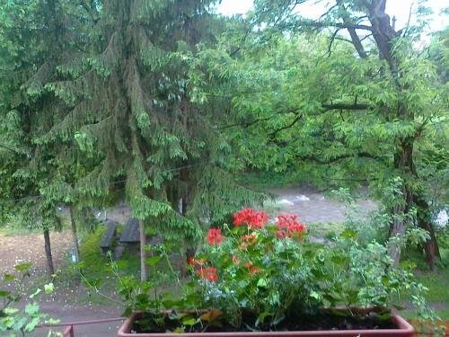 Pasager House - 241
