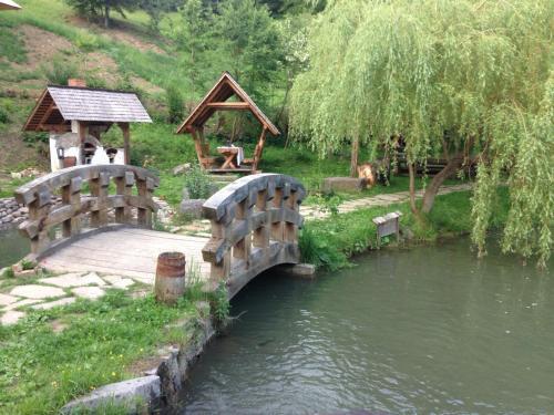 Păstrăvăria Alex - 838