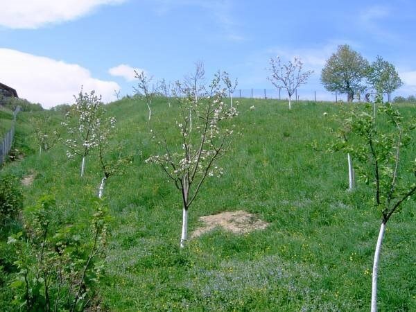 Pension Anastasia - 877
