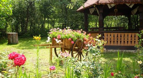 Pension Ardelean - 618