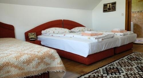 Pension Ardelean - 355