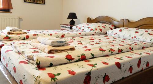 Pension Ardelean - 888