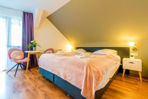 Pension Armonia - 446