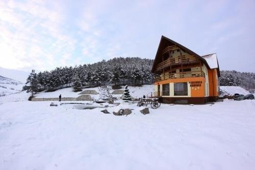 Pension Armonia - 560