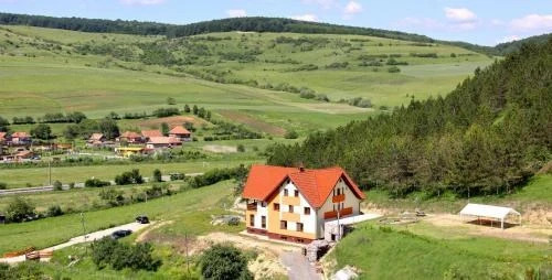 Pension Armonia - 499