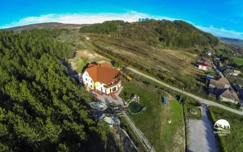 Pension Armonia - 962