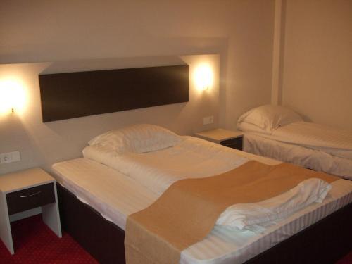 Pension Carpathia - 149