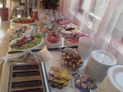 Pension Carpathia - 501