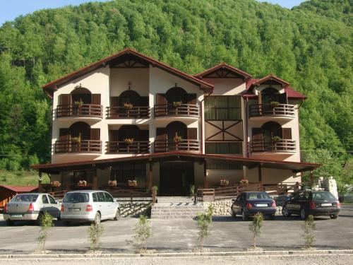 Pension Carpathia - 792