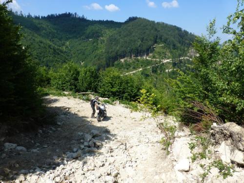 Pension Carpathia - 161
