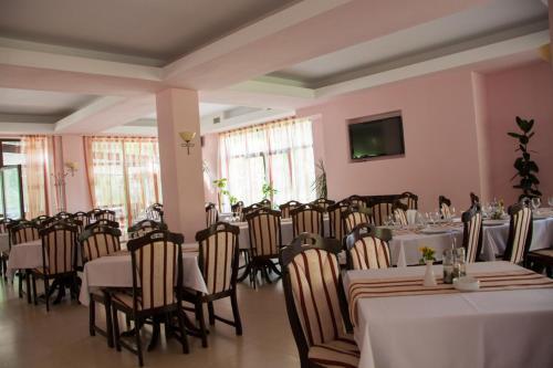 Pension Carpathia - 673