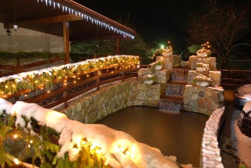 Pension Carpathia - 899