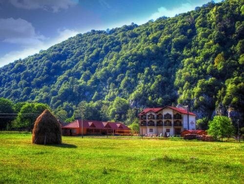 Pension Carpathia - 893