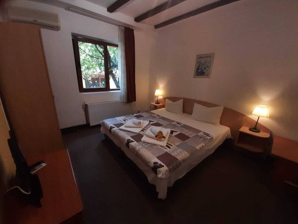 Pension Casa Mica - 946