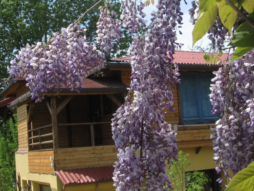 Pension Casa Mica - 289