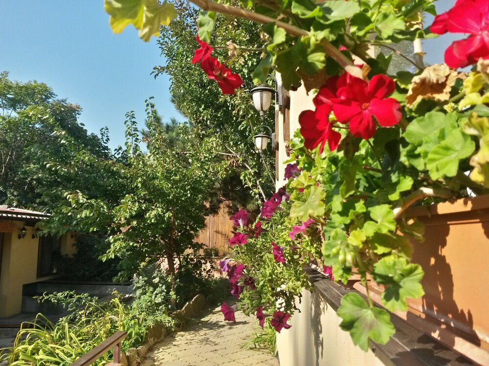 Pension Casa Mica - 962