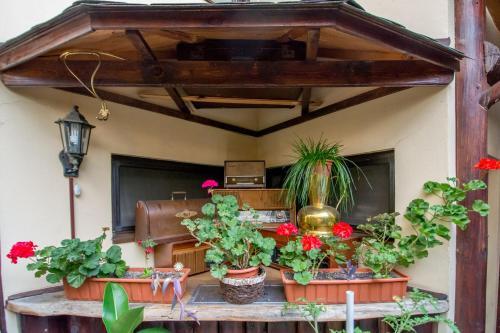 Casa Veche - 521