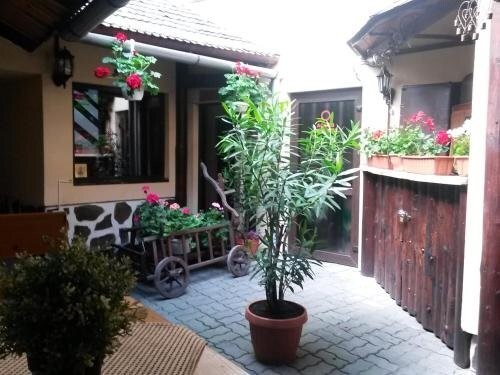Casa Veche - 567