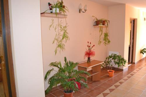 Pension Casa Vero - 450