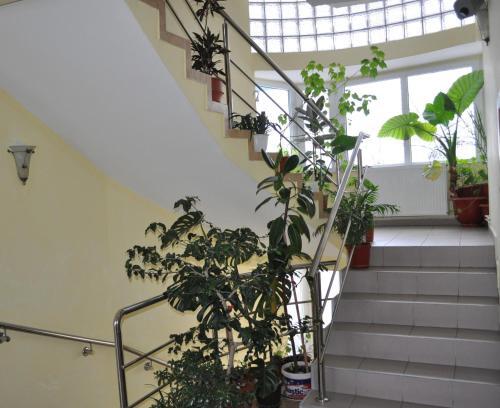 Pension Cremona - 20