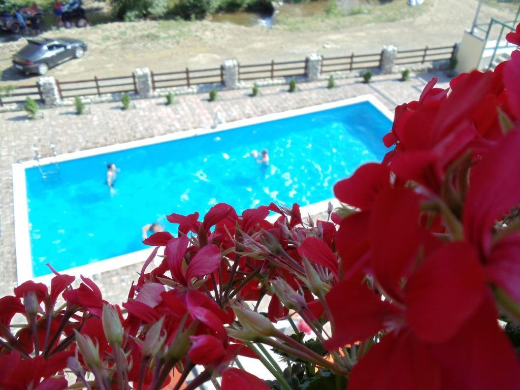 Pension Curmatura Stezii - 208