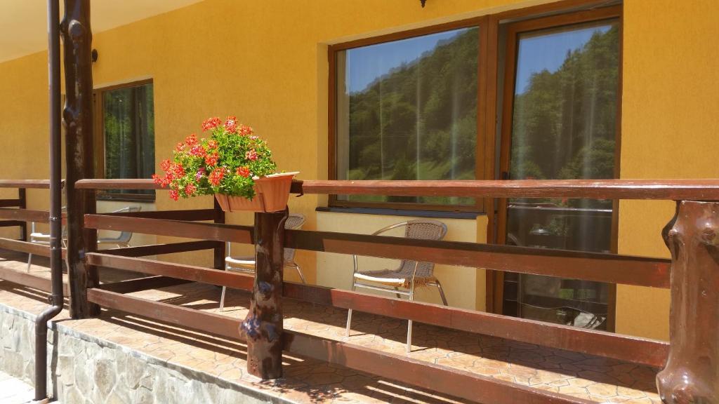 Pension Curmatura Stezii - 355