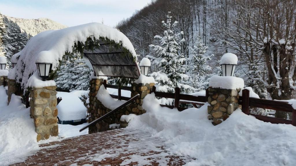 Pension Curmatura Stezii - 583