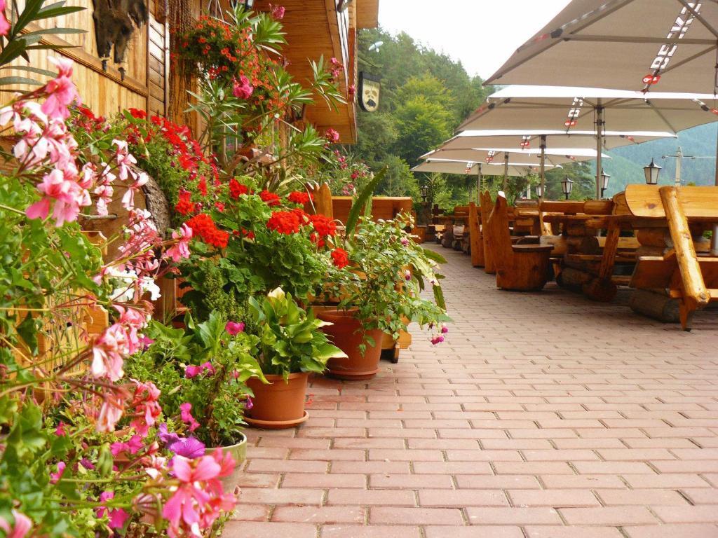 Pension Curmatura Stezii - 344
